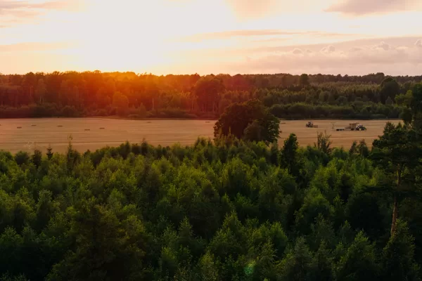 940 ha skujkoku un lapu koku meži